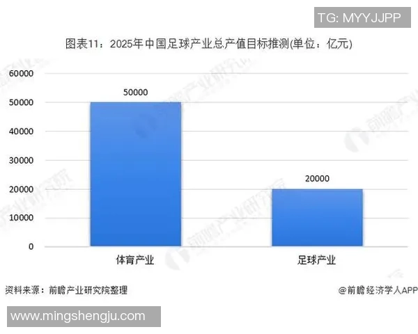 足球明星高收入背后的原因与市场价值解析